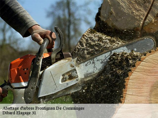 Abattage d'arbres  frontignan-de-comminges-31510 Dibard Elagage 31