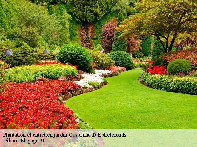 Plantation et entretien jardin  castelnau-d-estretefonds-31620 Dibard Elagage 31